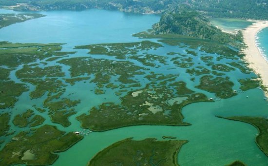 Iztuzu Strand In Dalyan